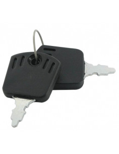 STARTING SWITCH  KEY INDAK