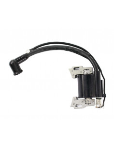 TÄNDSPOLE tidigare 18550126/0