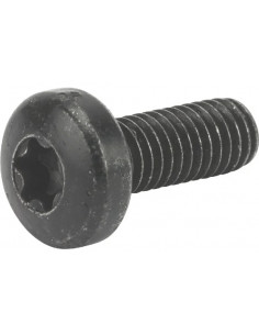 SCREW TCB TORX