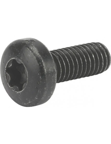 SCREW TCB TORX