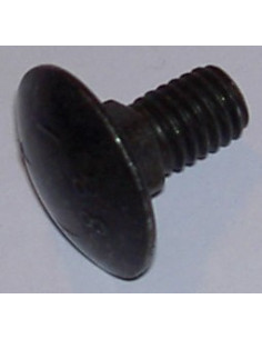CUP SQUARE BOLT M6X12