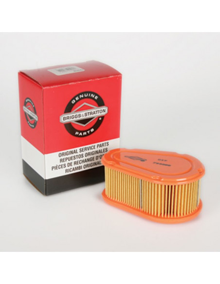 FILTER-AIR CLEANER CA