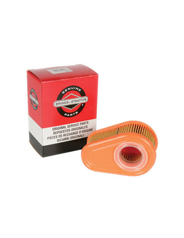 FILTER-AIR CLEANER CA