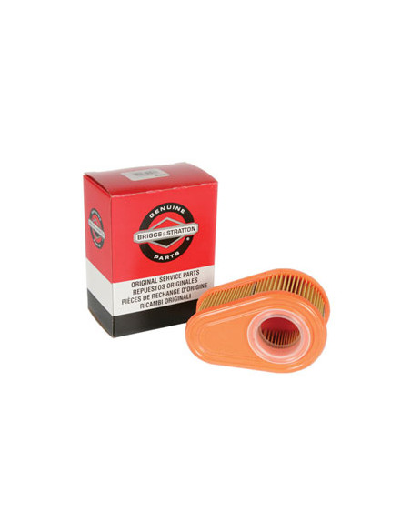 FILTER-AIR CLEANER CA