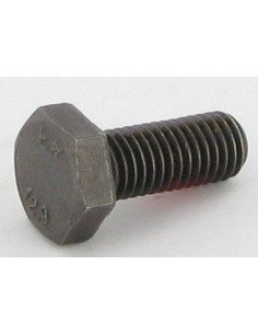 SKRUV M6S M10X24 12,9 ESL