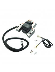 MAGNETSPOLE ersätter B&S 398811, 395492, 398265