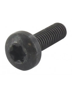 SCREW TCB TORX