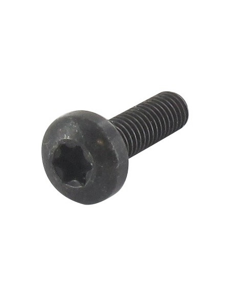 SCREW TCB TORX
