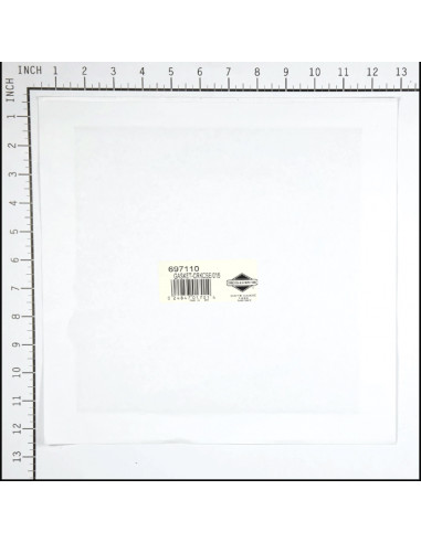 GASKET-CRKCSE/015