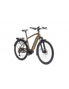 Crescent Elder 20, 10-Växlar, Färg Brun Matt, Ramstorlek 58cm 2