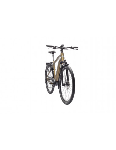 Crescent Elder 20, 10-Växlar, Färg Brun Matt, Ramstorlek 58cm