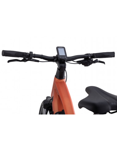 Crescent Elda 20, 10-Växlar, Färg Orange Matt, Ramstorlek 51cm