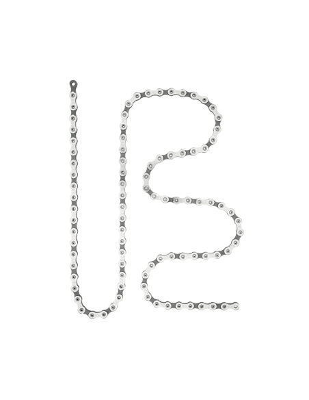 Campagnolo Kedja för 12 Speed 114 Links