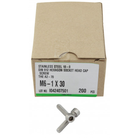 Skruv insex m6x65mm rostfri