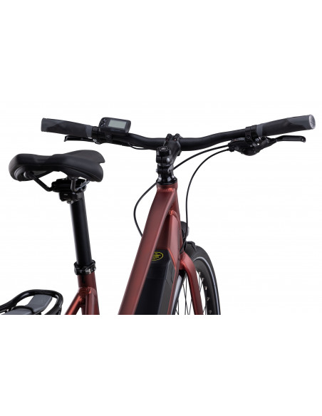 Elly, 8-vxl, 55 cm, Roströd