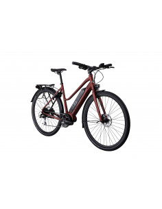 Elly, 8-vxl, 55 cm, Roströd