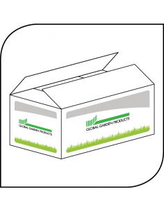 MOTOR KPL                           2009