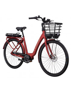 Elora 7vxl 51cm röd korg 2