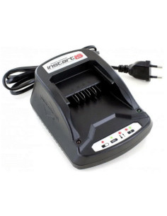 BATTERILADDARE, INSTART (T)