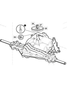 LANGHU TRANSMISSION GR. WITH PULLEY