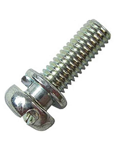 SCREW